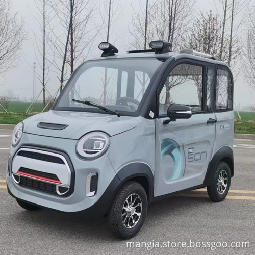 2023 new energy electric car Totoro low price adult driving mini 4-Wheel electric car high quality new car for sale